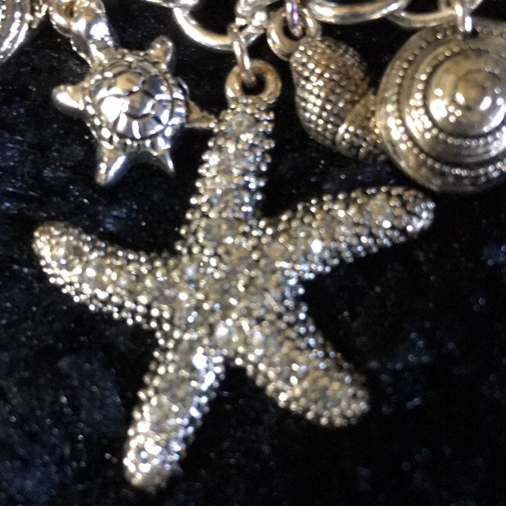 Starfish - Picture 2 of 4